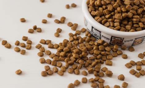 Annonce n° 983 de la MARA chinoise : produits d’alimentation animale et additifs pour l’alimentation animale importés 189 approuvés en 2026