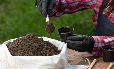 Nuove linee guida cinesi per la registrazione dei fertilizzanti (in vigore da ottobre 2025)