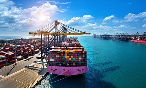 Exporter vers l’UE : qu’est-ce qu’un code CUS et comment l’obtenir
