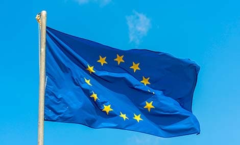 Proposition de simplification du règlement européen sur la déforestation (EUDR) : ce que les entreprises doivent savoir