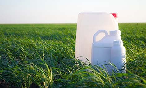 Supplemento IECSC pre-2003: un percorso di conformità a basso costo per gli esportatori di pesticidi in Cina