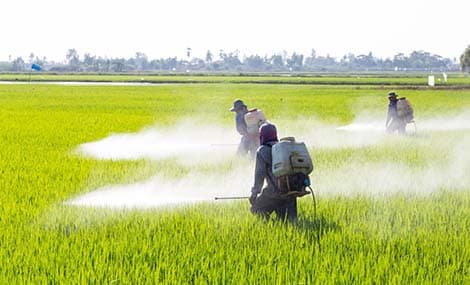 L’ECHA sostiene l’approvazione dell’etanolo per l’uso come disinfettante (PT1, PT2, PT4)