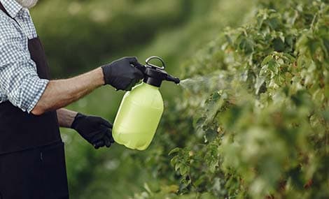 La Chine met à jour les règles d’étiquetage des pesticides : principales modifications en vertu de l’annonce n° 925 du MARA