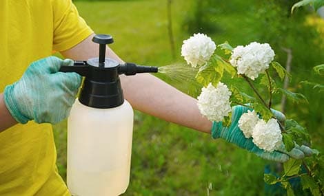 Voies d’enregistrement mondiales pour les nouveaux pesticides chinois