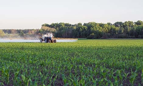 EFSA: Fenoxaprop-P-ethyl als Störfaktor des Androgen-Signalwegs identifiziert
