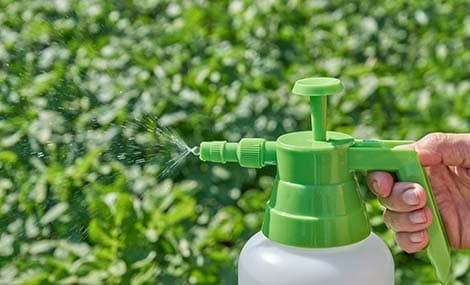 FAQ | Registrazione dei prodotti tecnici per pesticidi