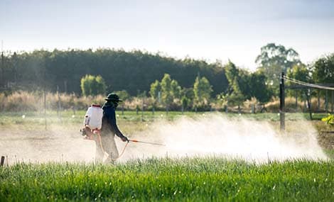Halbjahresüberblick zur Pestizidregistrierung bei der U.S. EPA 2026: Wichtige Trends