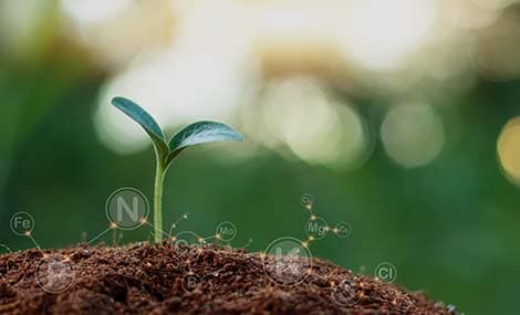 Bezeichnung: H1 2026 China Pesticide Registrations: Unlocking Trends for Strategic Product Development