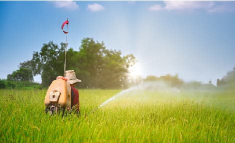 EPA beschließt endgültig den Widerruf von Zulassungen und die Beendigung von Anwendungen für Chlorpyrifos-Produkte