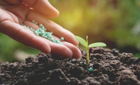 EPA gibt vorgeschlagene Zulassung des Pestizids Fluoxapiprolin bekannt