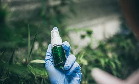 FAQ | Registrazione dei pesticidi sotto forma di concentrato tecnico (TC)
